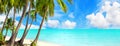 Tropical island paradise sea beach, ocean water, palm tree, sand, sun sky cloud, beautiful panorama landscape, summer holidays Royalty Free Stock Photo