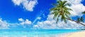 Tropical island paradise sea beach, ocean water, palm tree, sand, sun sky cloud, panorama landscape, Caribbean, Maldives, Thailand Royalty Free Stock Photo