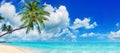 Tropical island paradise sea beach, ocean water, palm tree, sand, sun sky cloud, panorama landscape, Caribbean, Maldives, Thailand Royalty Free Stock Photo