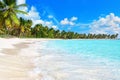 Tropical island paradise sea beach panorama, ocean wave, palm trees, Caribbean, Maldives, Thailand, summer holidays, vacation Royalty Free Stock Photo