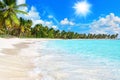 Tropical island paradise sea beach panorama, ocean wave, palm trees, Caribbean, Maldives, Thailand, summer holidays, vacation Royalty Free Stock Photo