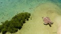 Tropical island with sandy beach. Palawan, Philippines