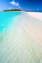 Tropical island with sandy beach with palm trees and tourquise clean water in Maldives