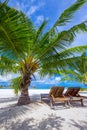 Tropical island with sandy beach, palm trees and tourquise clear water. Royalty Free Stock Photo