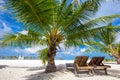 Tropical island with sandy beach, palm trees and tourquise clear Royalty Free Stock Photo