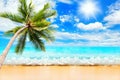 Tropical Island Sea Beach Landscape, Green Coconut Palm Tree Leaves, Turquoise Ocean Water Waves, Blue Sky Sun White Clouds, Sand