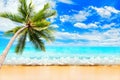 Tropical Island Sea Beach Landscape, Green Coconut Palm Tree Leaves, Turquoise Ocean Water Wave, Blue Sunny Sky White Clouds, Sand
