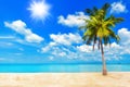 Tropical island sea beach landscape, palm tree, ocean water, sky sun cloud, sand, summer holidays, vacation, beautiful paradise Royalty Free Stock Photo