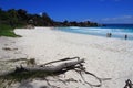 Tropical Island Seychelles