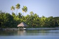 Tropical Island in the South Pacific