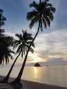 Tropical island sunset image with coconut tree