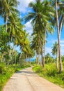 Tropical island traveling landscape. Empty road and palm trees. Royalty Free Stock Photo