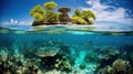 Tropical Island and Underwater Coral Reef Split View Royalty Free Stock Photo