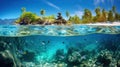 Tropical Island and Underwater Coral Reef Split View Royalty Free Stock Photo