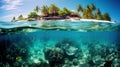 Tropical Island and Underwater Coral Reef Split View Royalty Free Stock Photo