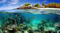 Tropical Island and Underwater Coral Reef Split View Royalty Free Stock Photo