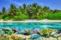 Tropical island and the underwater world in the Maldives. Royalty Free Stock Photo