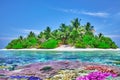 Tropical island and the underwater world in the Maldives. Royalty Free Stock Photo