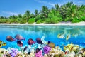 Tropical island and the underwater world in the Maldives. Royalty Free Stock Photo