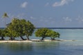 Tropical Islet of Raiatea