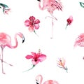 Tropical isolated seamless pattern with flamingo. Watercolor tropic drawing, rose bird and greenery palm tree, tropic