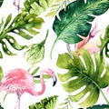 Tropical isolated seamless pattern with flamingo. Watercolor tropic drawing, rose bird and greenery palm tree, tropic