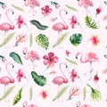 Tropical isolated seamless pattern with flamingo. Watercolor tropic drawing, rose bird and greenery palm tree, tropic