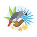 A tropical Jaco parrot sits on a branch with leaves of tropical plants. Vector illustration isolated