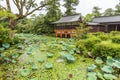 Tropical japanese garden with small pool and red bridge in Usa j Royalty Free Stock Photo