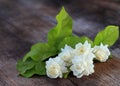 Tropical jasmine flower on wood.