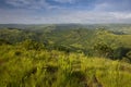 tropical jungle and forest in the wild coast of South Africa Royalty Free Stock Photo