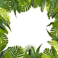 Tropical Jungle Leaves Background