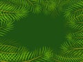 Tropical jungle with leaves background