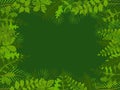 Tropical jungle with leaves background