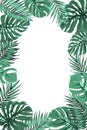 Tropical jungle palm monstera leaf frame portrait