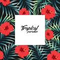 Tropical jungle palm tree leaves with hibiscus flowers on black background. Royalty Free Stock Photo