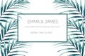 Greeting card with tropical jungle palm tree leaves on white background. Card for wedding, birthday and other holiday. Royalty Free Stock Photo