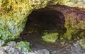 Tropical jungle plants trees rocks stones cave cenote Muyil Mexico Royalty Free Stock Photo