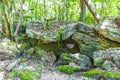 Tropical jungle plants trees rocks stones cave cenote Muyil Mexico Royalty Free Stock Photo