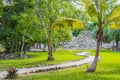 Tropical jungle plants trees walking trails Muyil Mayan ruins Mexico