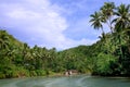 Tropical jungle river