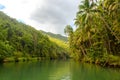 Tropical jungle river - Loboc river. Bohol, Philippines Royalty Free Stock Photo
