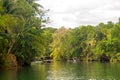 Tropical jungle river - Loboc river. Bohol, Philippines Royalty Free Stock Photo