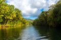 Tropical jungle river - Loboc river. Bohol, Philippines Royalty Free Stock Photo