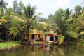 Tropical jungle river between palm trees Royalty Free Stock Photo