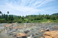 Tropical Jungle River of Pinnawala at Sunny Day Royalty Free Stock Photo