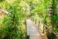Tropical jungle trail in Mu Koh Lanta National Park, Krabi, Thailand Royalty Free Stock Photo
