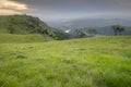 tropical jungle, waterfalls and forest in the wild coast of South Africa Royalty Free Stock Photo