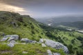 tropical jungle, waterfalls and forest in the wild coast of South Africa Royalty Free Stock Photo