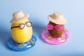 Tropical kiwi fruit and lemon fruits float on inflatable circles in the water wearing hats and sunglasses